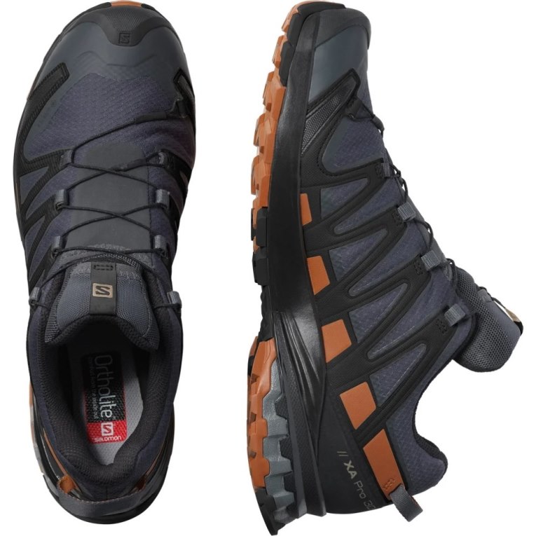 Salomon Xa Pro 3d V8 GTX Trailove Bezecke Tenisky Panske Námornícka Modrá | SK 0VHEAX